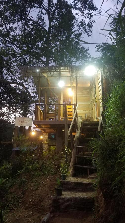 Ayubo Ella - Bed & Breakfast Exterior photo